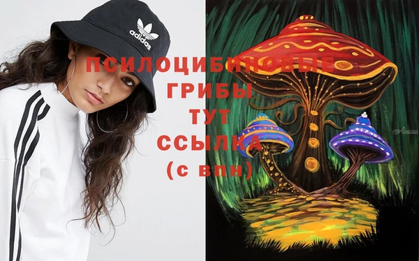 MDMA Premium VHQ Нижний Тагил