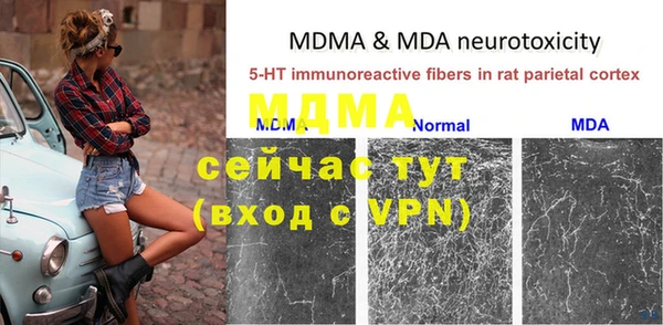 молекула духа Белокуриха