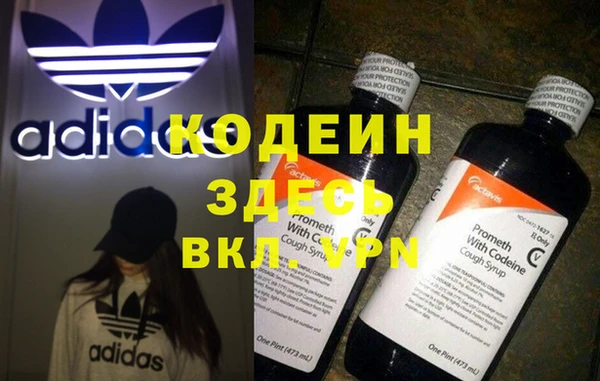 молекула духа Белокуриха