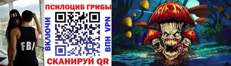 это официальный сайт  Бирск  Галлюциногенные грибы Psilocybine cubensis 