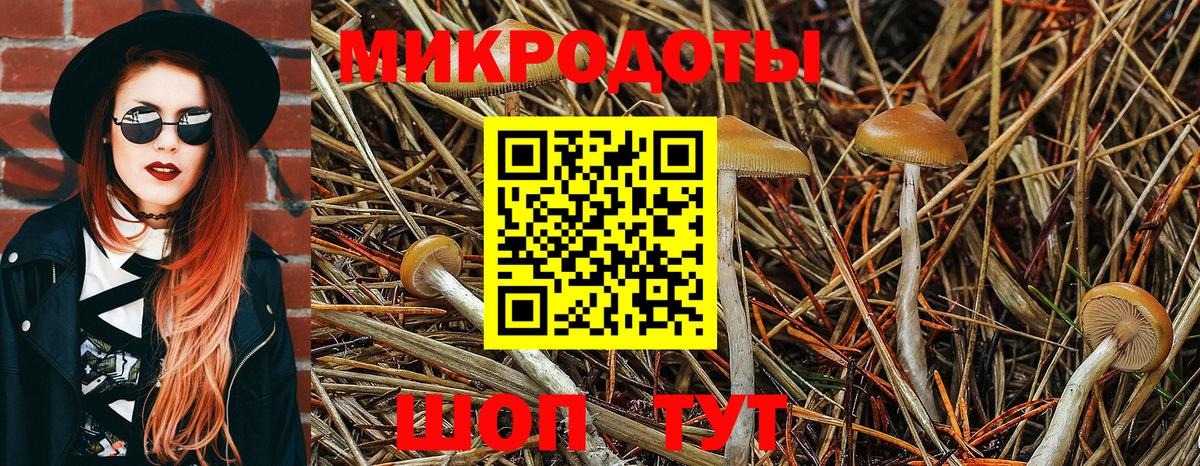 Псилоцибиновые грибы мухоморы  Вход с VPN  Галлюциногенные грибы Psilocybine cubensis  Бирск 