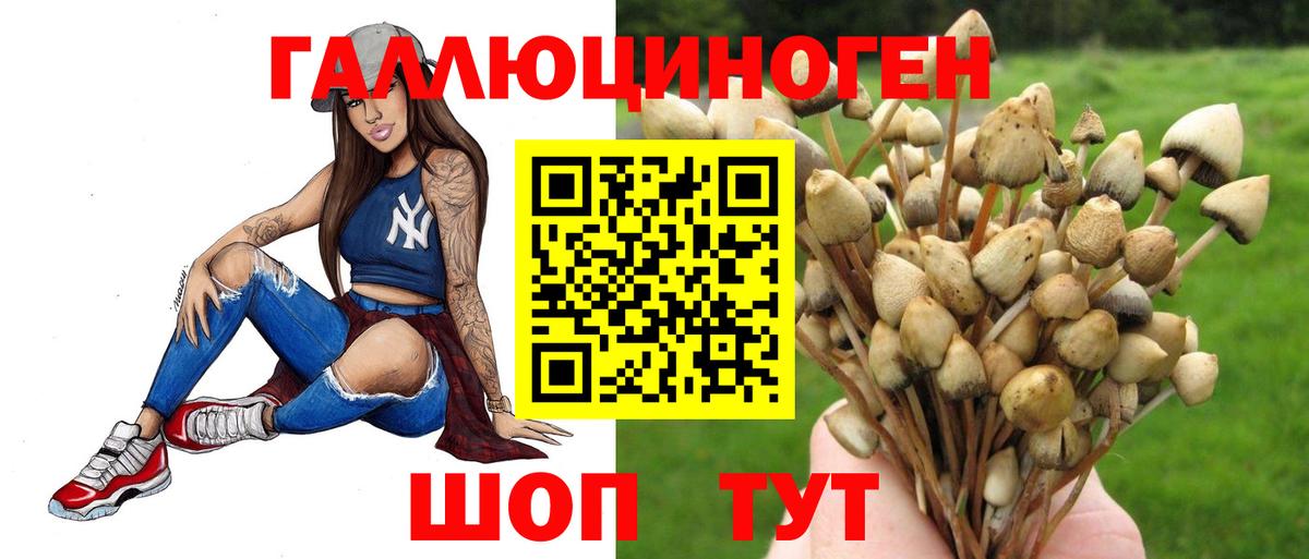 Псилоцибиновые грибы Magic Shrooms Бирск