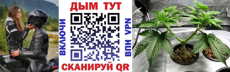 Канабис OG Kush  Бирск 